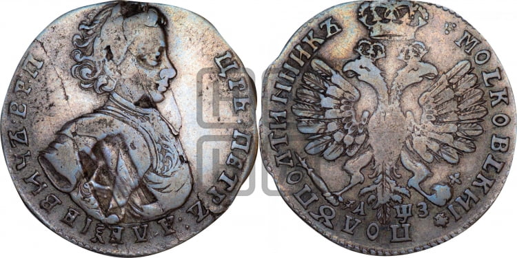 Полуполтинник 1707 года (украшения на груди)
