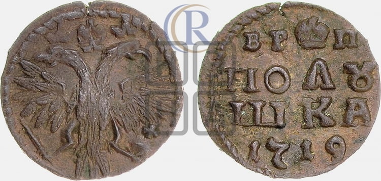 Полушка 1719 года ( без букв монетного двора, все разновидности без отметки редкости)
