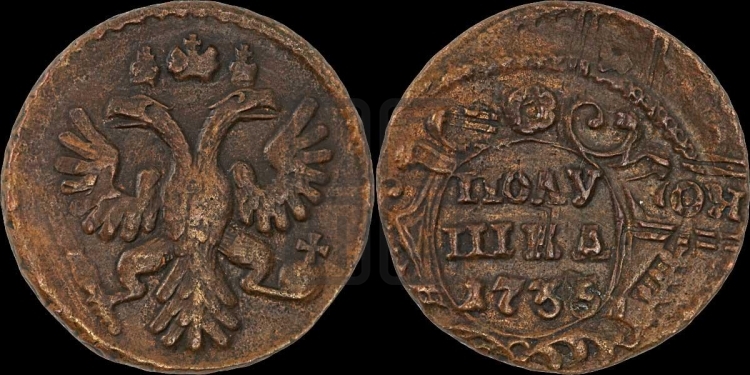 Полушка 1735 года (грудь узкая, в крыле 9-10 перьев)