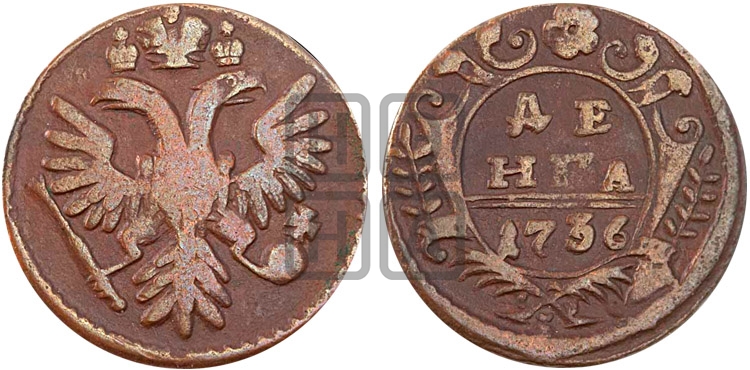 Денга 1736 года (грудь орла уже, крылья меньше 9-10 перьев) - Биткин #333