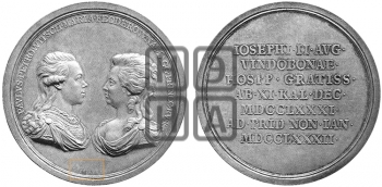 ВИЗИТ В.К. ПАВЛА ПЕТРОВИЧА И В.К. МАРИИ ФЕДОРОВНЫ В ВЕНУ, 1781 - 1782 гг.