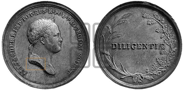 DILIGENTIAE. БД
