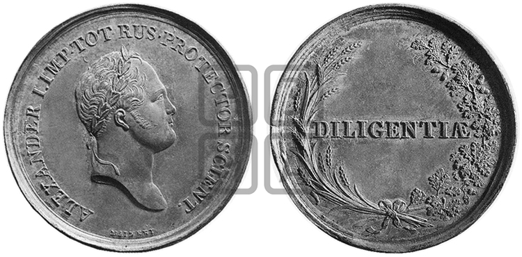 DILIGENTIAE. БД
