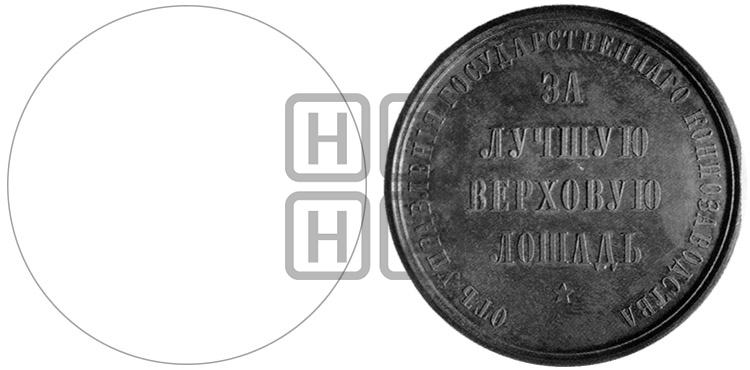 ЗА ЛУЧШУЮ ВЕРХОВУЮ ЛОШАДЬ. БД