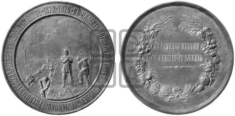 ЗА ТРУДЫ И УСПЕХИ ПО ЛЕСОРАЗВЕДЕНИЮ. 1879