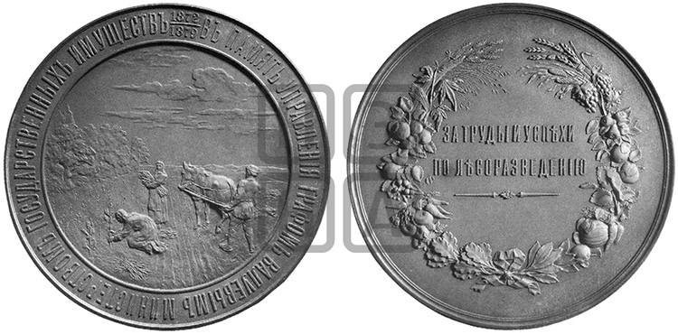 ЗА ТРУДЫ И УСПЕХИ ПО ОСУШЕНИЮ БОЛОТ. 1879