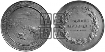 ЗА ТРУДЫ И УСПЕХИ ПО ОСУШЕНИЮ БОЛОТ. 1879
