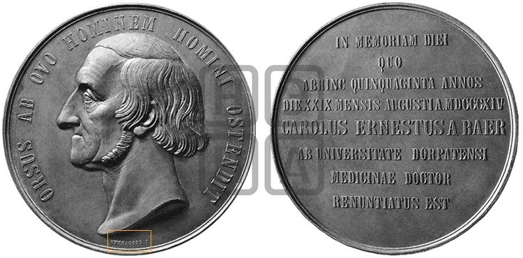 АКАДЕМИК К.Э. БЭР, 50 ЛЕТ УЧЕНОЙ ДЕЯТЕЛЬНОСТИ. БД (1864)
