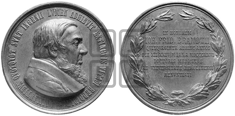 И.Ф. БРАНДТ, 50 ЛЕТ ПОЛУЧЕНИЯ СТЕПЕНИ ДОКТОРА МЕДИЦИНЫ. БД (1876)