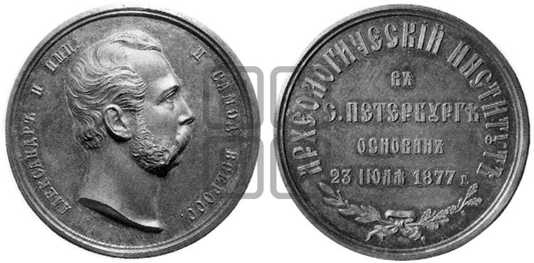 АРХЕОЛОГИЧЕСКИЙ ИНСТИТУТ. 1877
