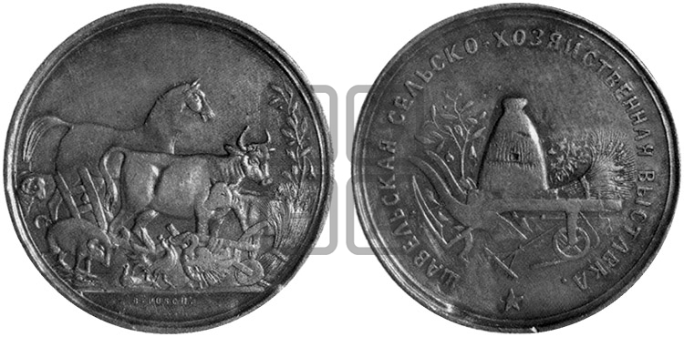 ШАВЕЛЬСКАЯ СЕЛЬСКОХОЗЯЙСТВЕННАЯ ВЫСТАВКА. БД (1879)
