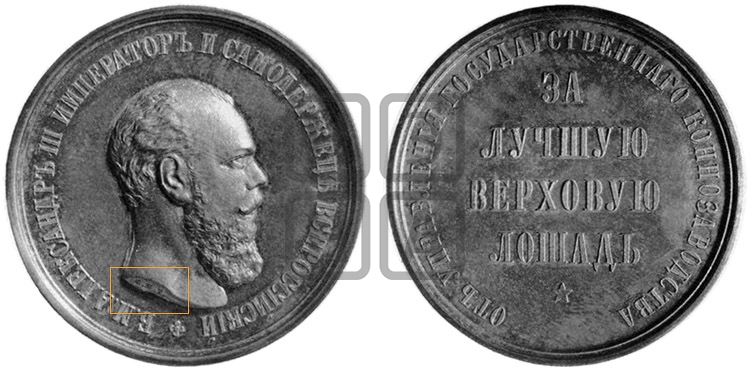 ЗА ЛУЧШУЮ ВЕРХОВУЮ ЛОШАДЬ. БД